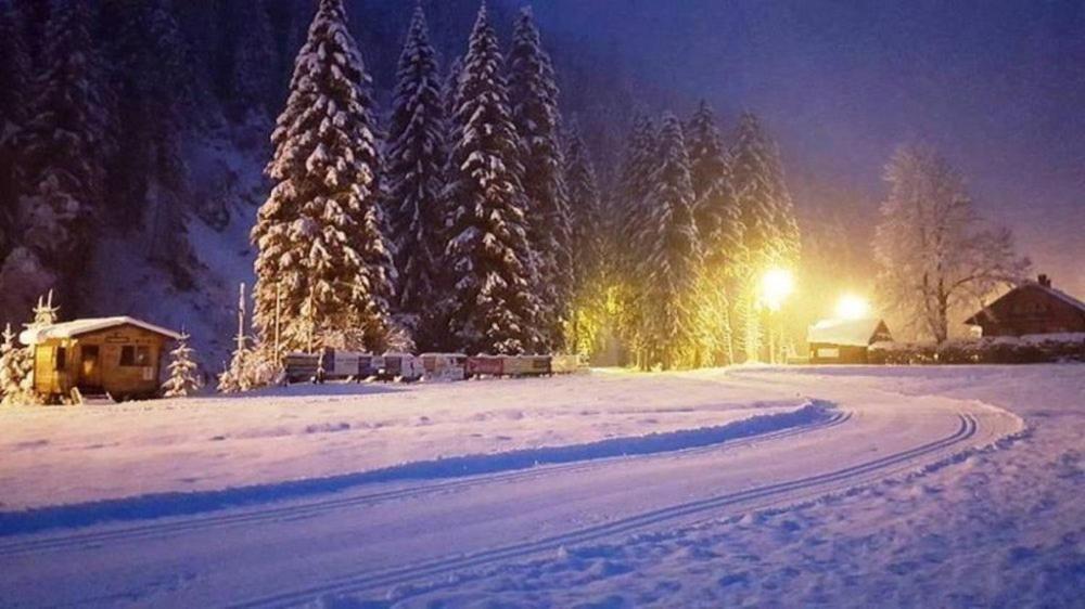 Pension Haus Rohrmoser Лунгёц Экстерьер фото